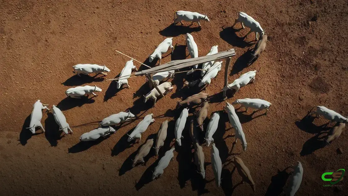 Webinar discute oportunidades e desafios do bem-estar animal no Brasil