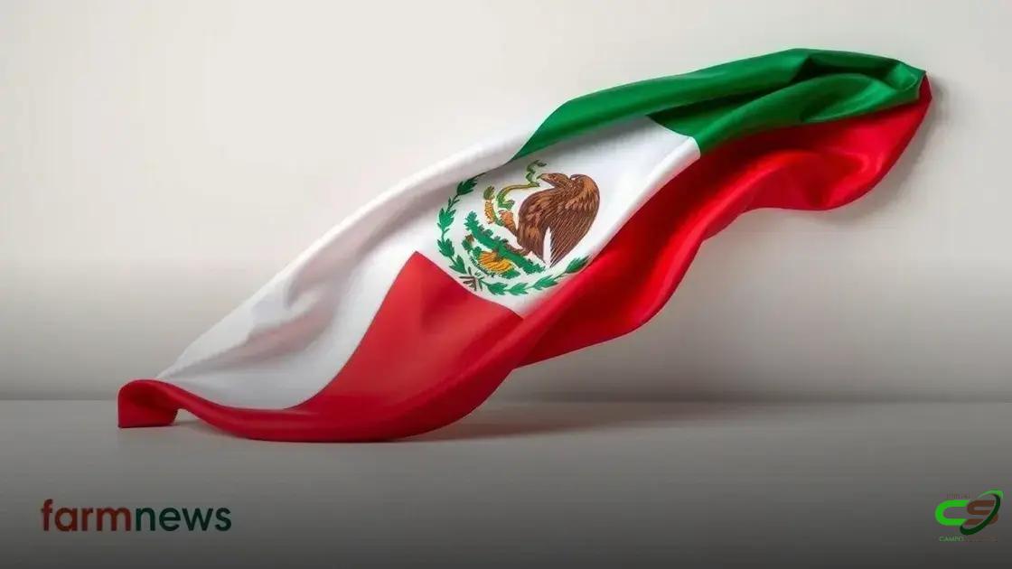 Carne bovina brasileira para o México supera EUA em julho de 2025