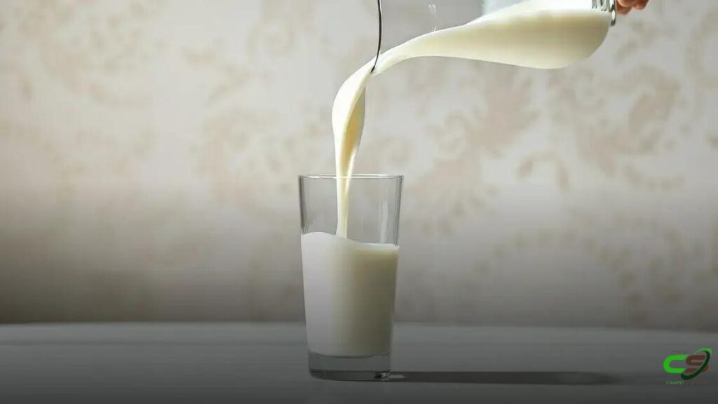 Crise no Varejo de Laticínios Elimina Negócios Pouco Estruturados