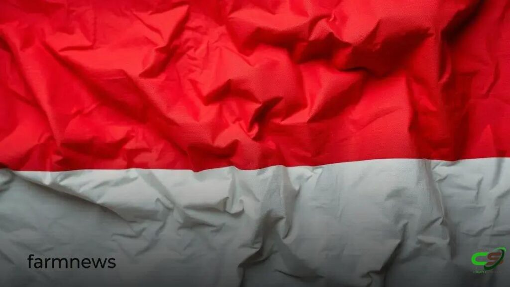 Indonésia será novo destino da carne bovina brasileira: expansão de exportações 2 Indonésia será novo destino da carne bovina brasileira: expansão de exportações