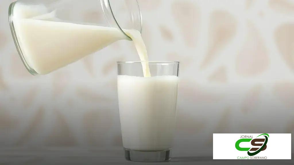 ATeG Confresa impulsiona ganhos na pecuária leiteira em reunião com Senar-MT