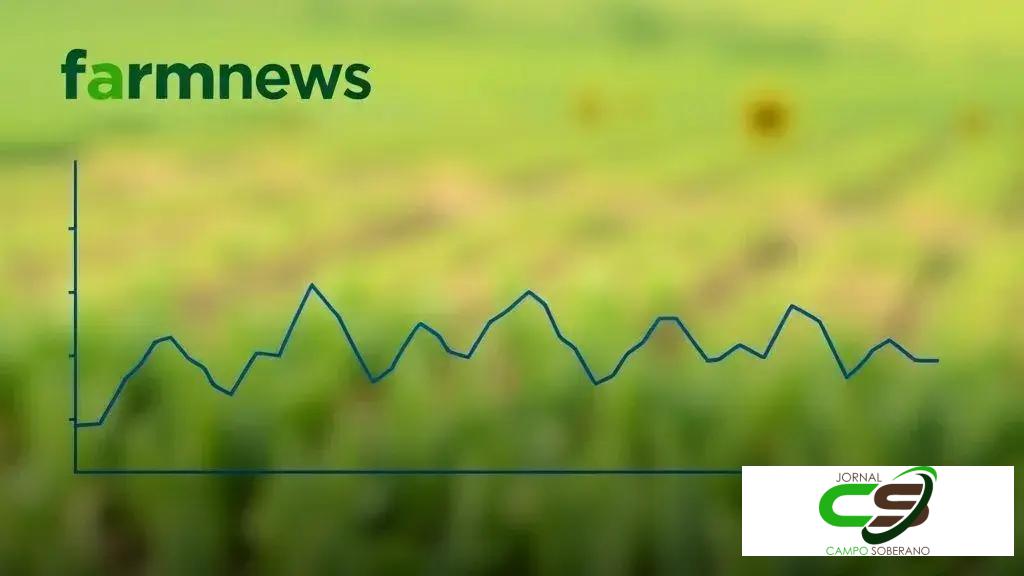 Bezerro em setembro de 2025: preço volta a subir e aproxima-se do topo anual