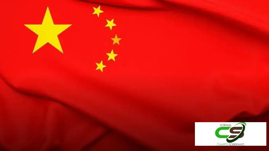 China fecha o 1º semestre de 2025 com recordes históricos na produção de carnes 7 China fecha o 1º semestre de 2025 com recordes históricos na produção de carnes