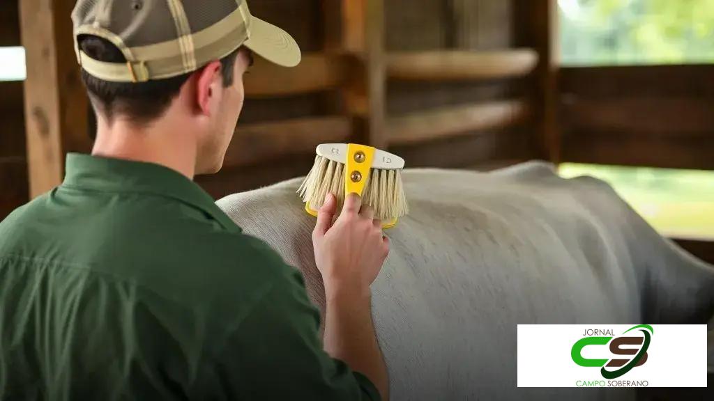 Inteligência Artificial e Ultrassonografia de Carcaça Transformam Nelore