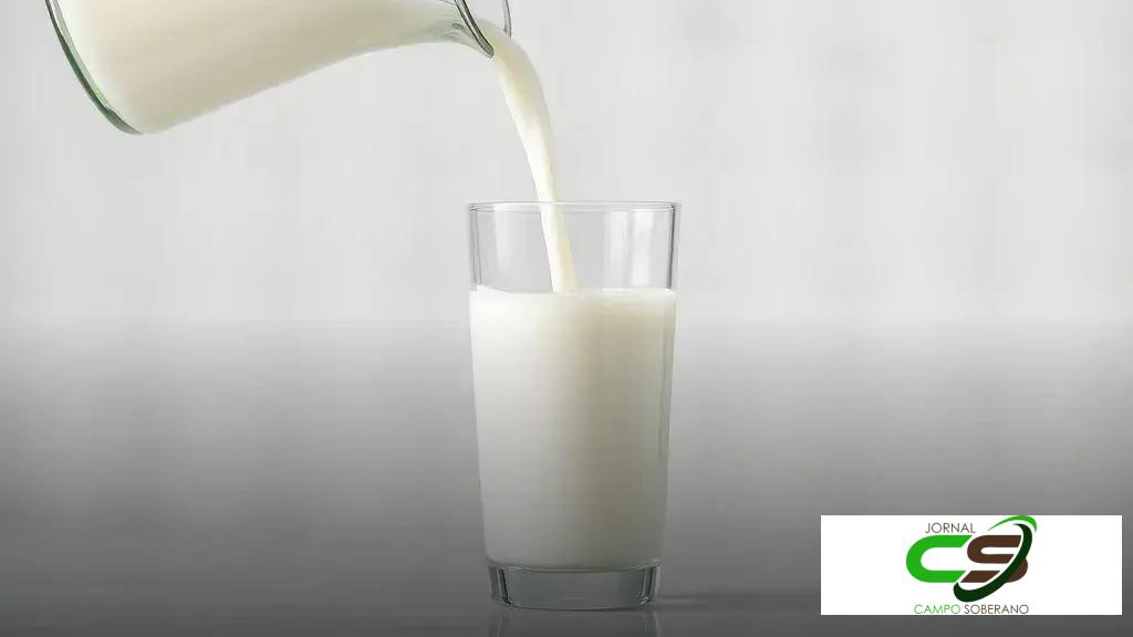 Lácteos em queda: Spot recua e preços caem, aponta boletim Embrapa