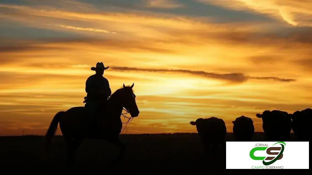 Mastering Content Outlines with AI: A Practical Guide