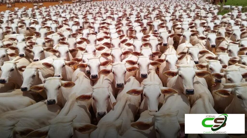 Sustainable Urban Gardening: Grow Green in Small Spaces