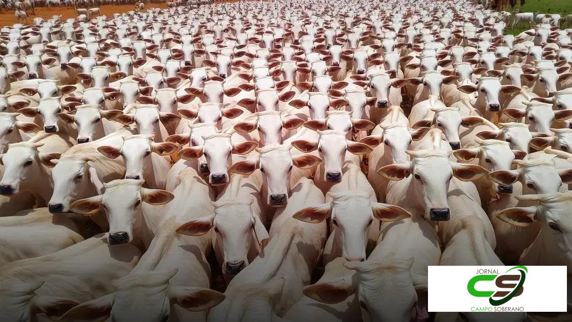 Sustainable Urban Gardening: Grow Green in Small Spaces