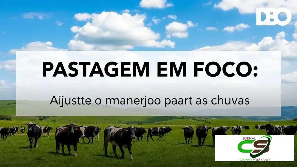 Transição seca-águas: manejo eficiente de pasto para as primeiras chuvas