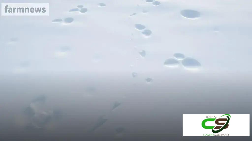 Ureia em alta: preço atual e projeções para o final de agosto