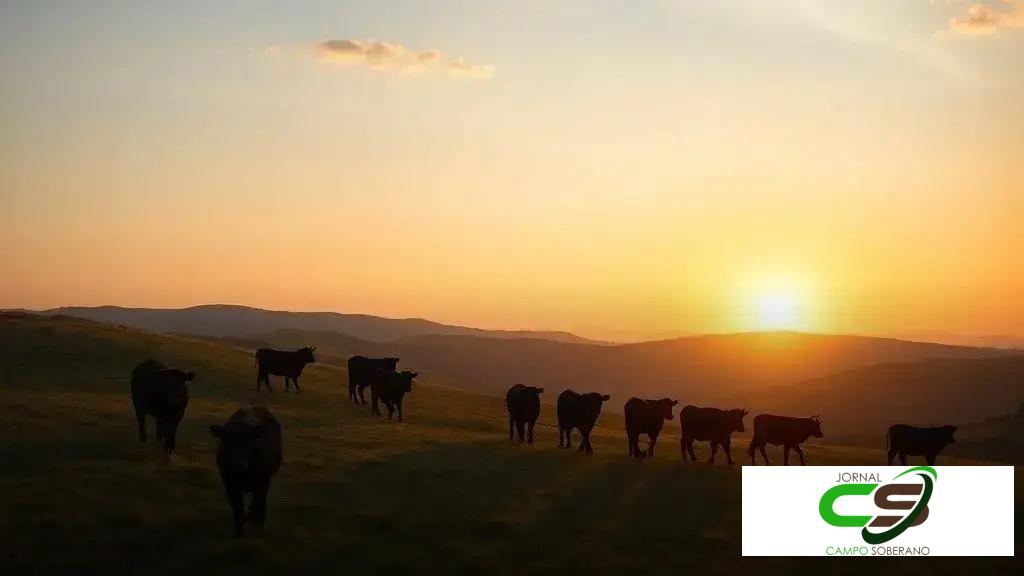 Bicheira do Novo Mundo surge no México a 274 km da fronteira com os EUA