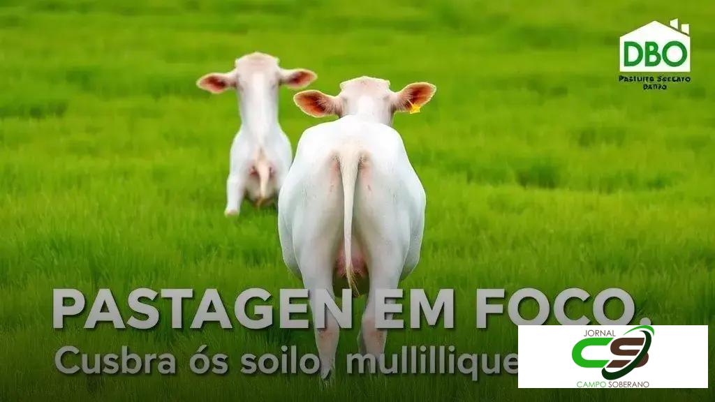 Conservação do Solo: estratégias para pastos mais produtivos