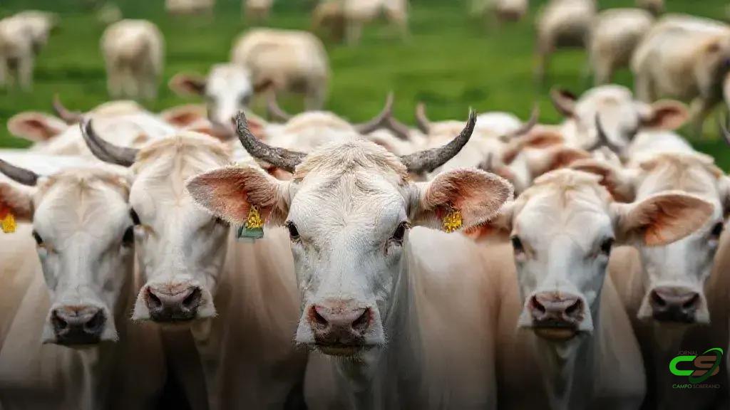 A Practical Guide to Creating Engaging Tech Tutorials