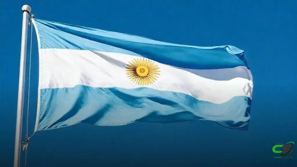 Argentina amplia abates de novilhas em 2025, sinalizando recuo do rebanho