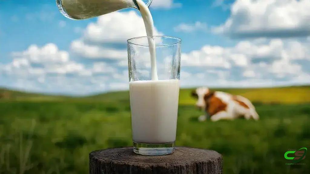 Boletim Leite e Derivados: preços do leite recuam e relação de troca cai