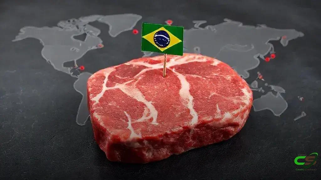 Brasil lidera exportações de carne bovina em 2025, mesmo diante tarifas dos EUA