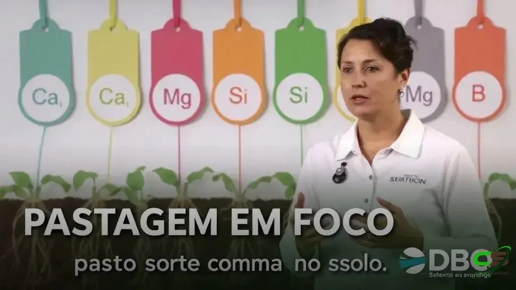 Calcário e gesso: como potencializar o pasto com manejo correto 10 Calcário e gesso: como potencializar o pasto com manejo correto