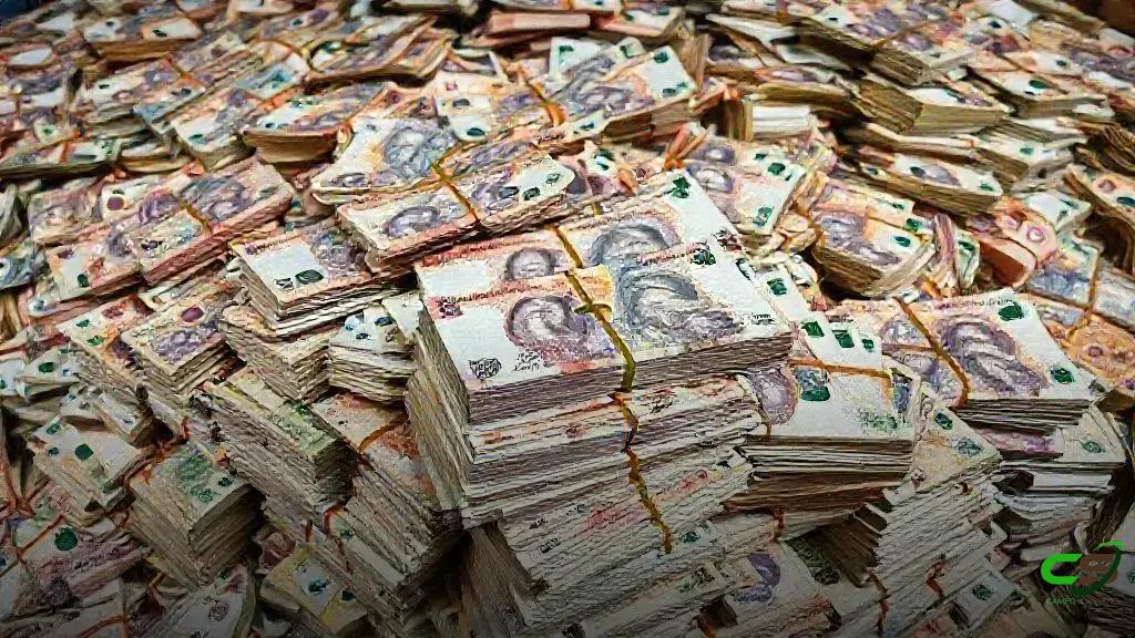 Campo Futuro gera informações para reduzir custos de produção, afirma CNA