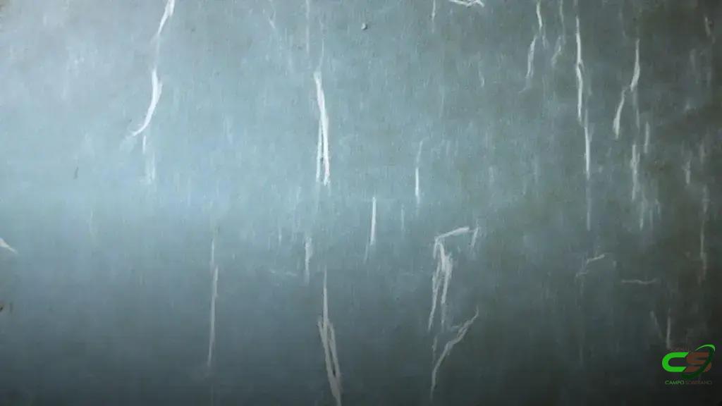 Carne bovina: regras comerciais precisam ser exequíveis para o pecuarista