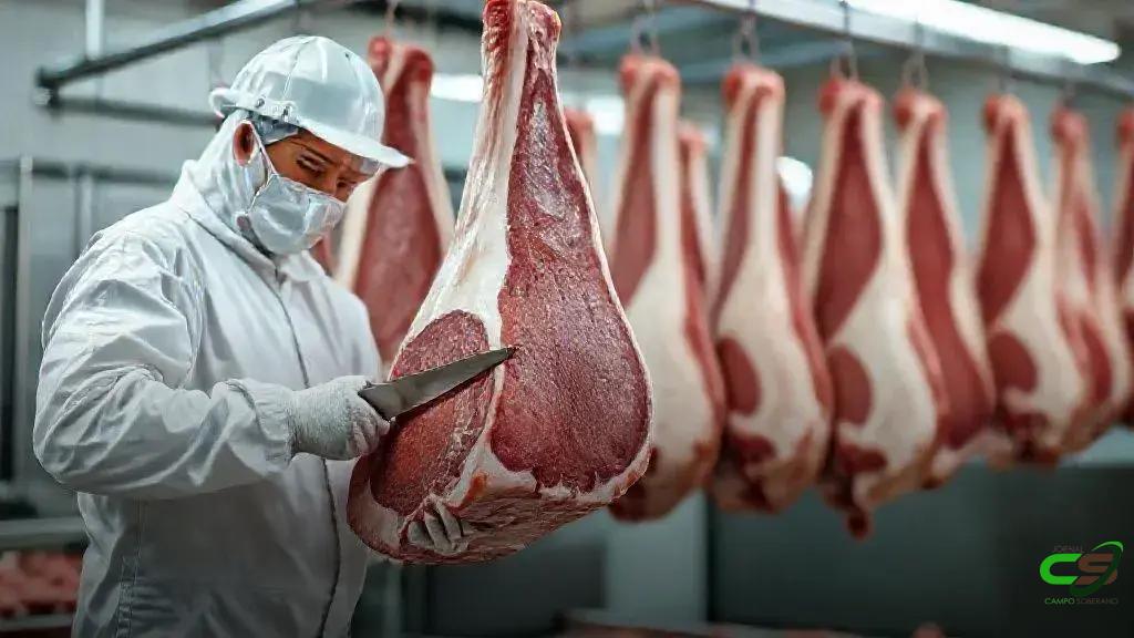 Carne de Mato Grosso: exportações sobem 67% no 3º tri/25