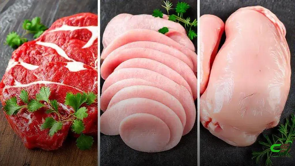 Carnes brasileiras: exportação cresce em outubro e nos 10 primeiros meses de 2025