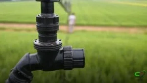 Cerca Elétrica: Mitos, Verdades e Como Ela Funciona na Pecuária