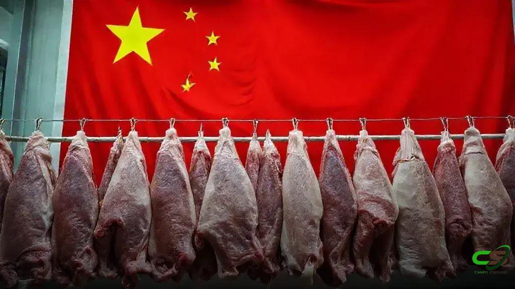 China estende investigação sobre importações de carne bovina por 2 meses