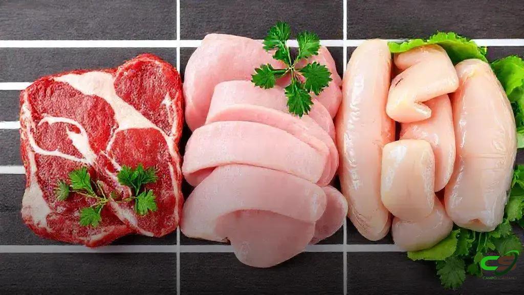 Conab projeta 0,4% de crescimento na produção de carnes em 2026