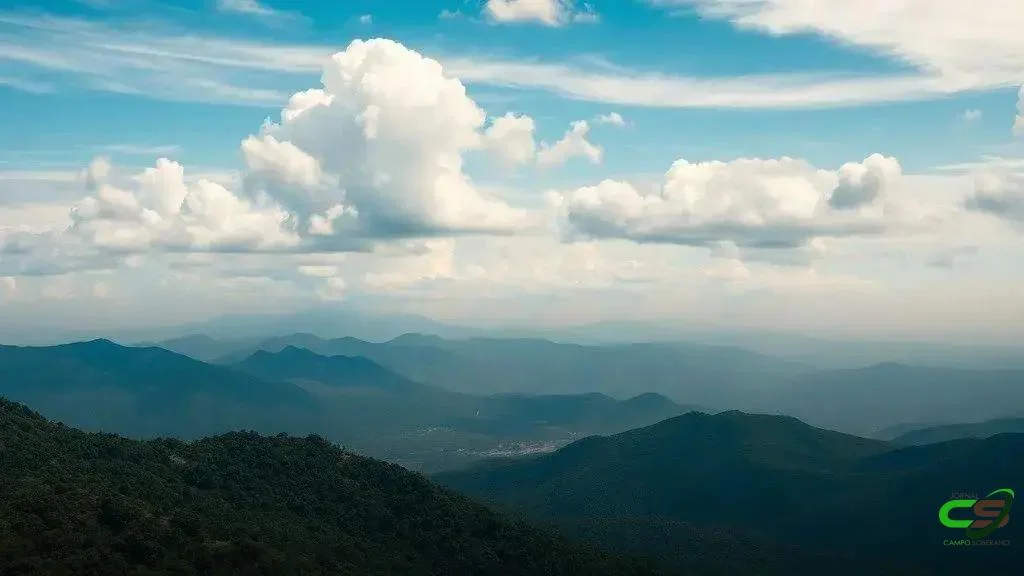 Conexão Delta G anuncia nova diretoria para o biênio 2026/27