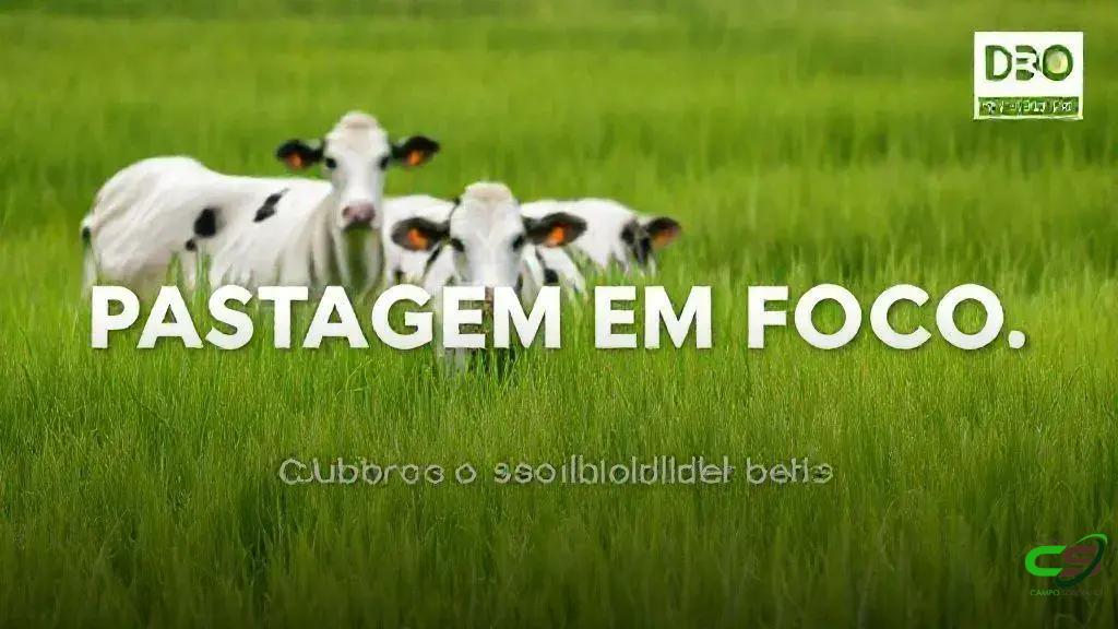 Conservação do solo para pastos produtivos: técnicas de estabelecimento