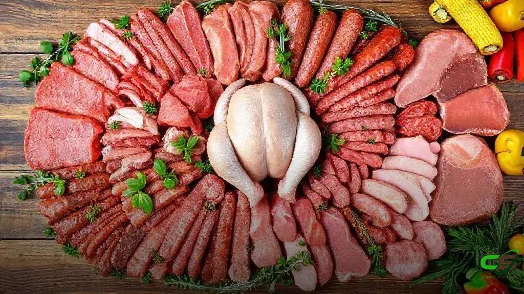 COP30: Fazendas e florestas podem coexistir, dizem especialistas