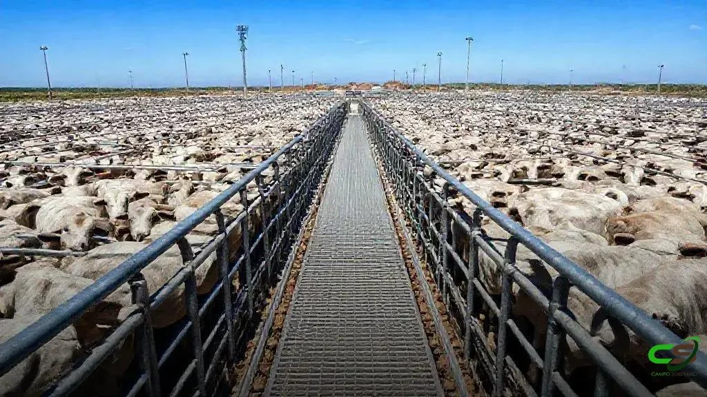 Creating Engaging Content Outlines: A Practical Guide