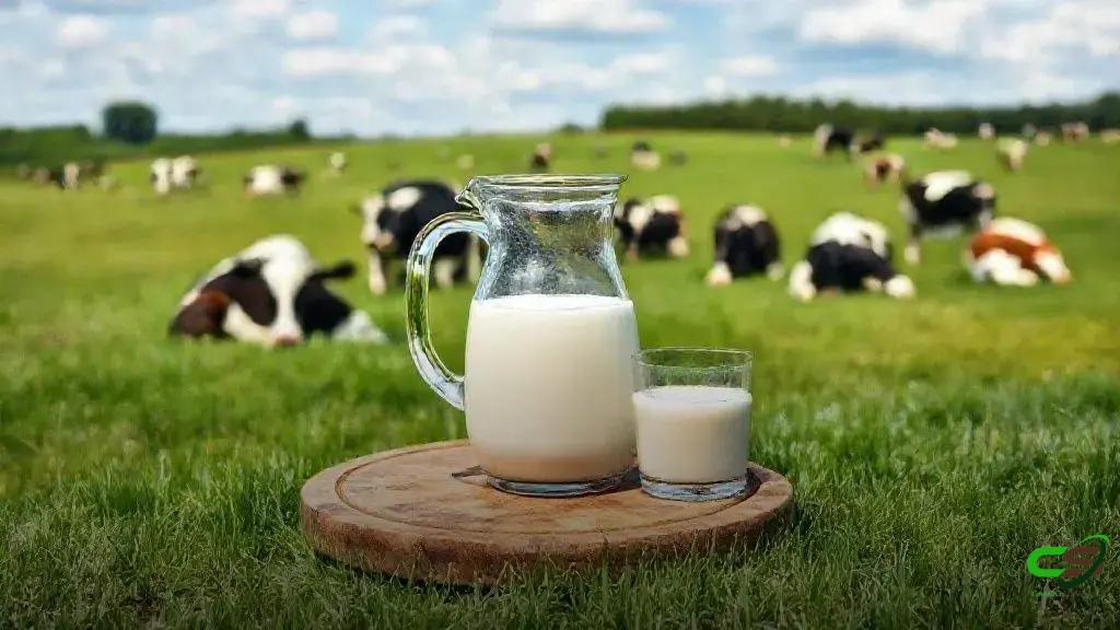 Entidades pedem medidas emergenciais para frear a crise do leite no Brasil