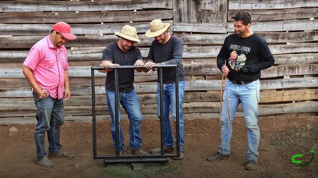 Escritórios Verdes 2.0 da JBS impulsiona pecuária sustentável com assistência técnica