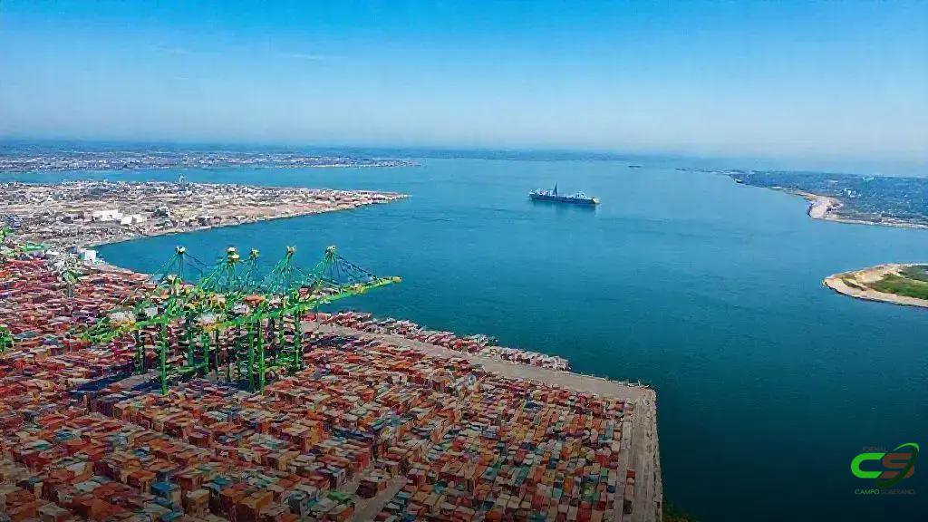 Exportações brasileiras de carne bovina atingem US$13,1 bi em jan-out/2025