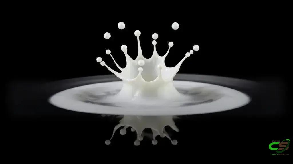 FAO reconhece programa Mais Leite Saudável como boa prática global