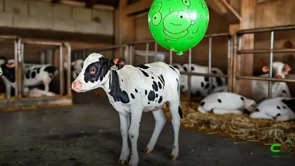 FIESC Oeste encerra o ano com análise do cenário econômico de Santa Catarina