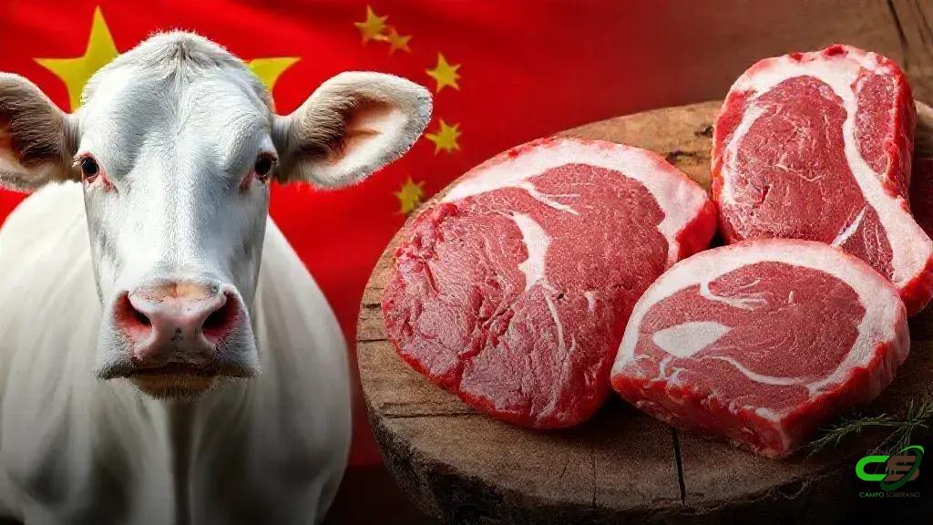 Fluazuron em foco: China sinaliza novo embargo à carne brasileira