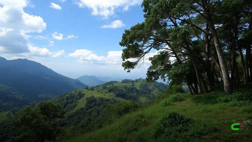 Ibama exige regularidade ambiental de toda a fazenda para desembargo