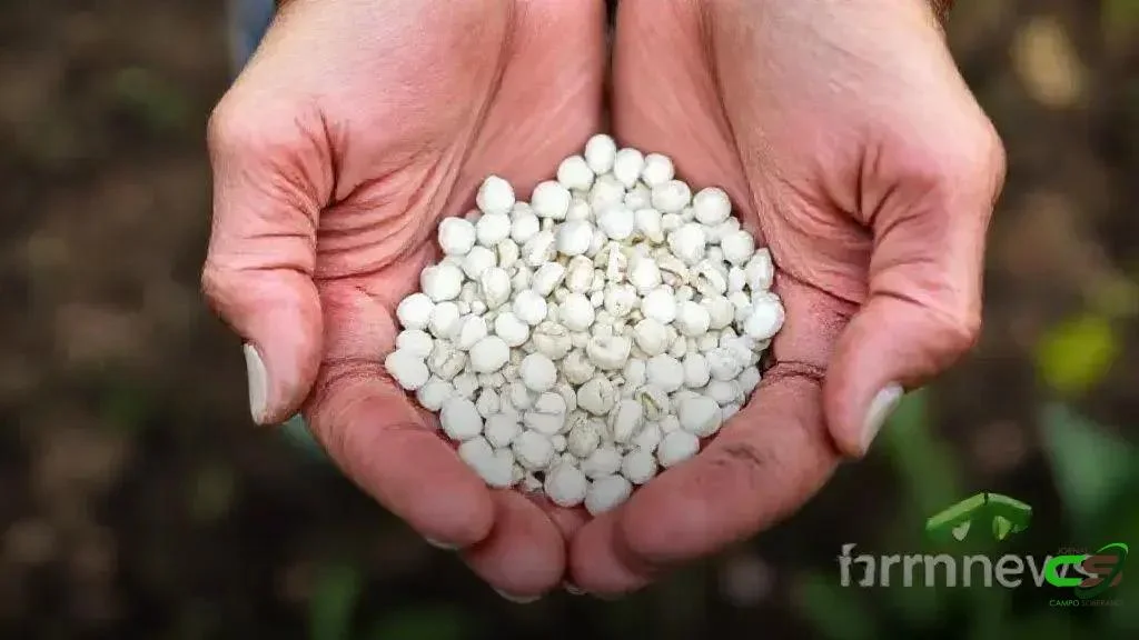Importação de fertilizantes em outubro de 2025: preço atinge maior valor desde 2022 1 Importação de fertilizantes em outubro de 2025: preço atinge maior valor desde 2022
