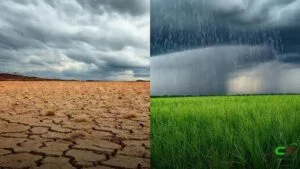 La Niña fortalece pastagens e impulsiona safra no Centro-Oeste em novembro