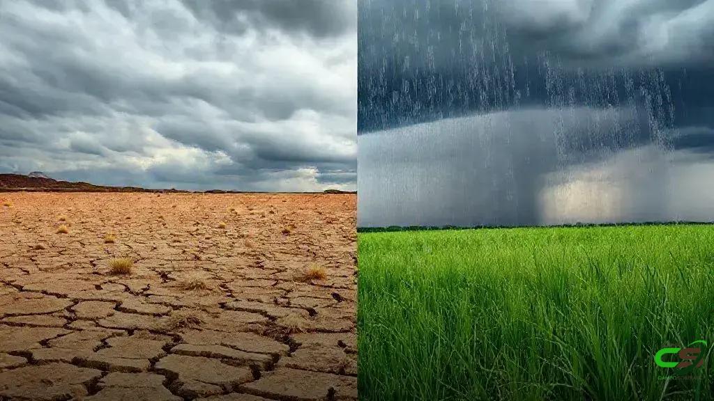 La Niña fortalece pastagens e impulsiona safra no Centro-Oeste em novembro