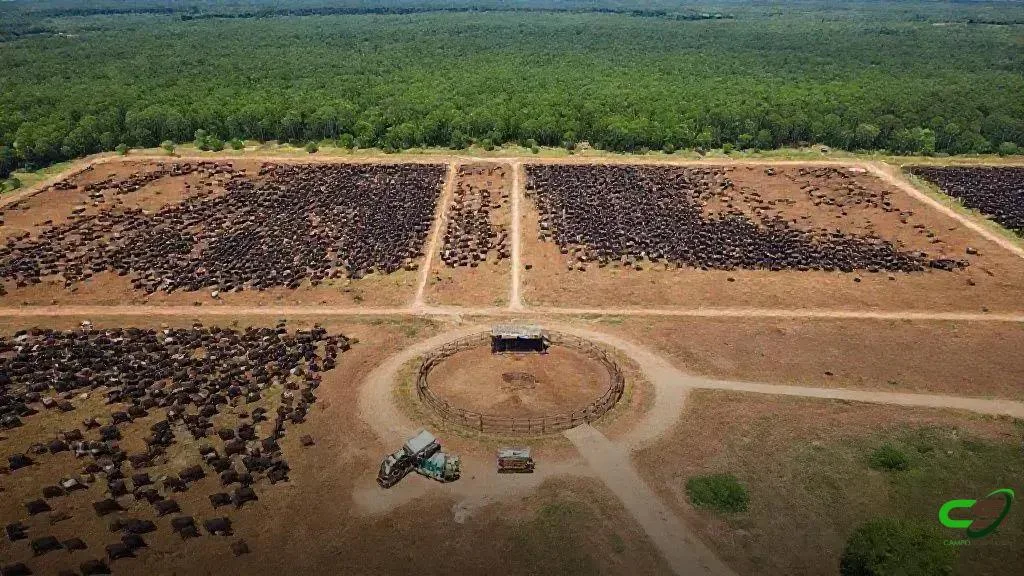 LFPEC esclarece acusações de fraude de R$ 286 milhões e segue recuperação judicial