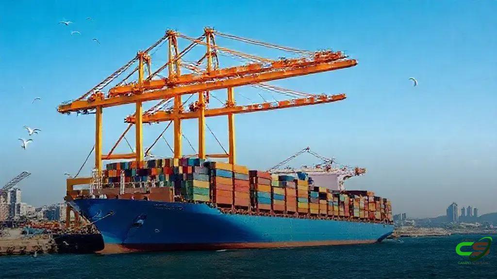 Minerva registra lucro de R$120 milhões no 3º tri impulsionado por exportações