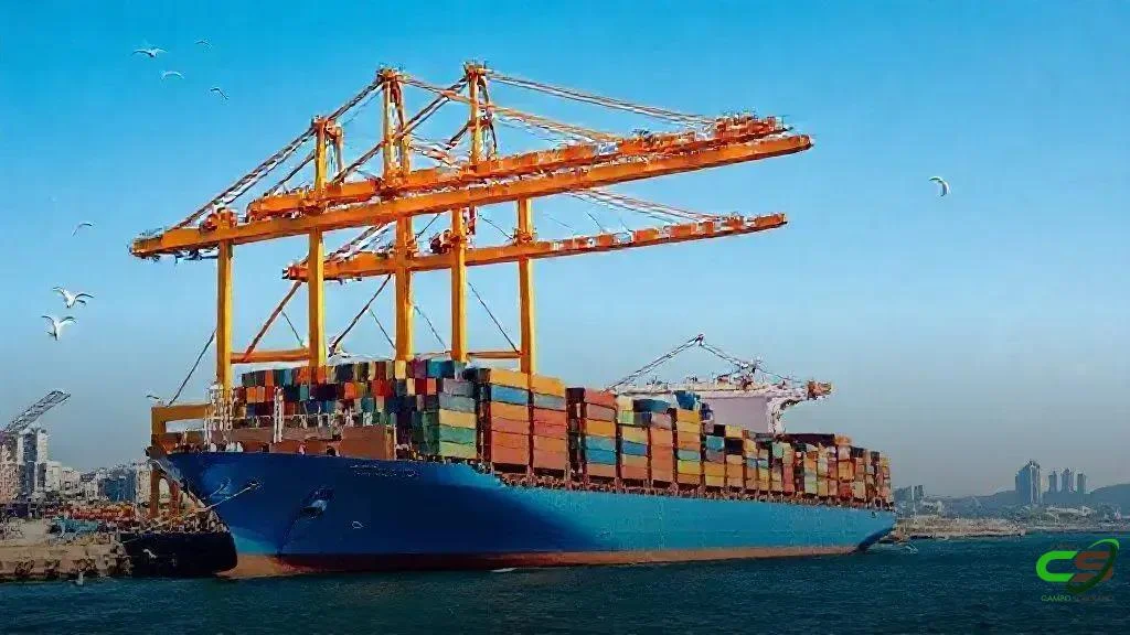 Minerva registra lucro de R$120 milhões no 3º tri impulsionado por exportações