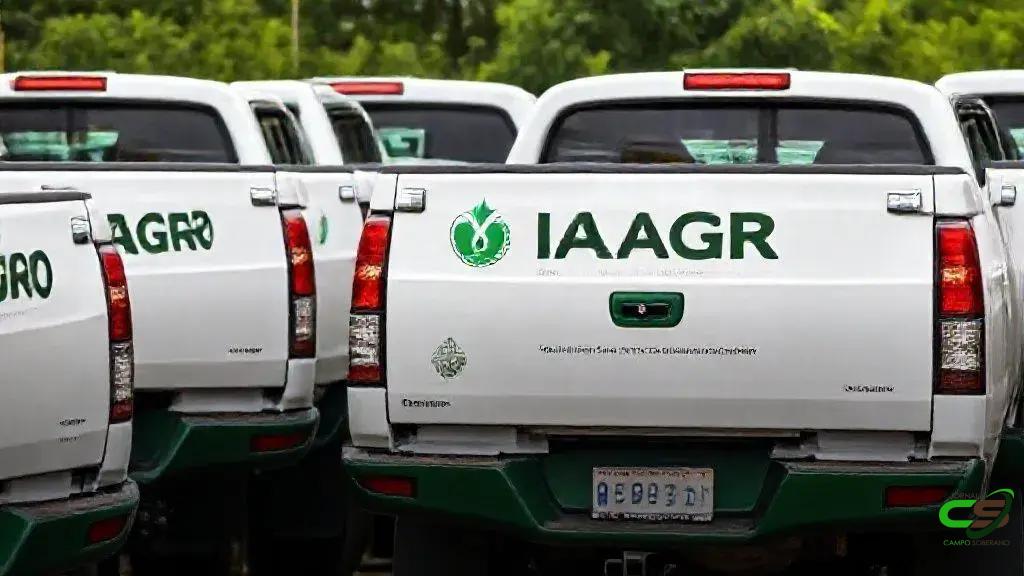 MS lança programa de renegociação de débitos Iagro e Imasul com até 45% de desconto
