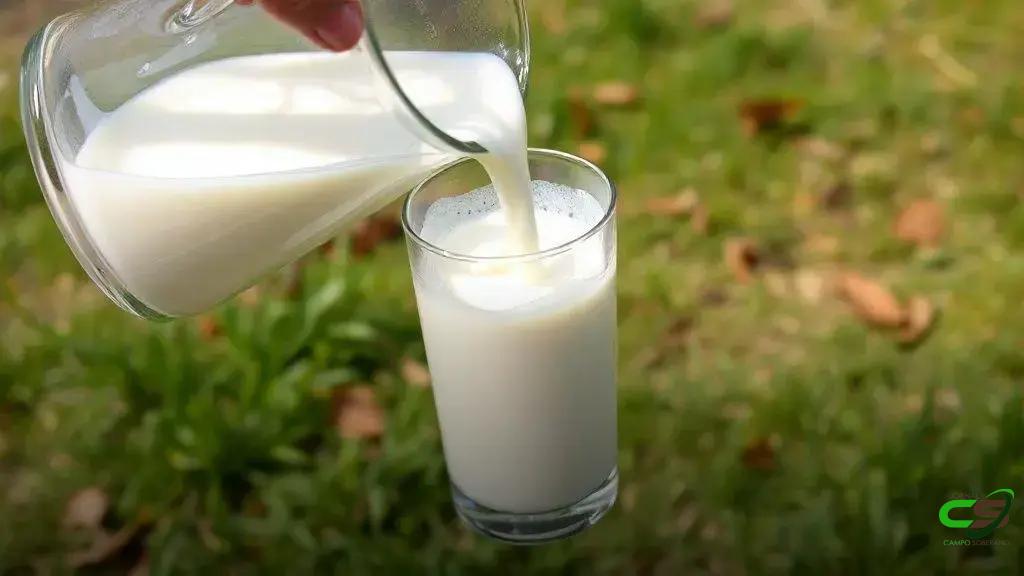 Paraná debate crise do leite com produtores, governo e Assembleia