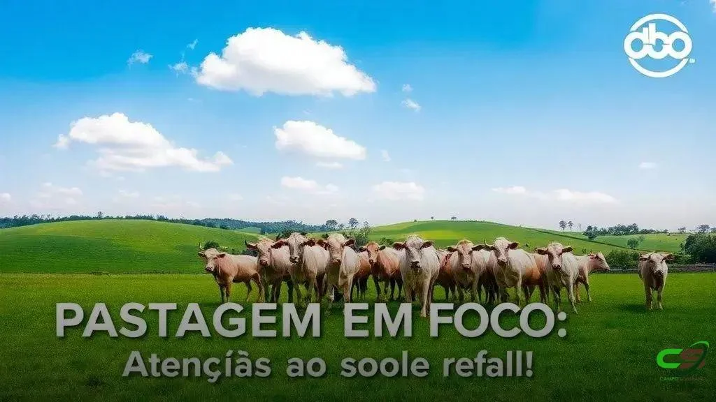 Pastagem: como escolher e preparar novas áreas sem erros 6 Pastagem: como escolher e preparar novas áreas sem erros