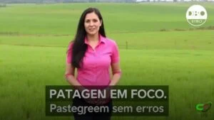 Pastagens Fortes e Produtivas: Guia Passo a Passo para a Pecuária