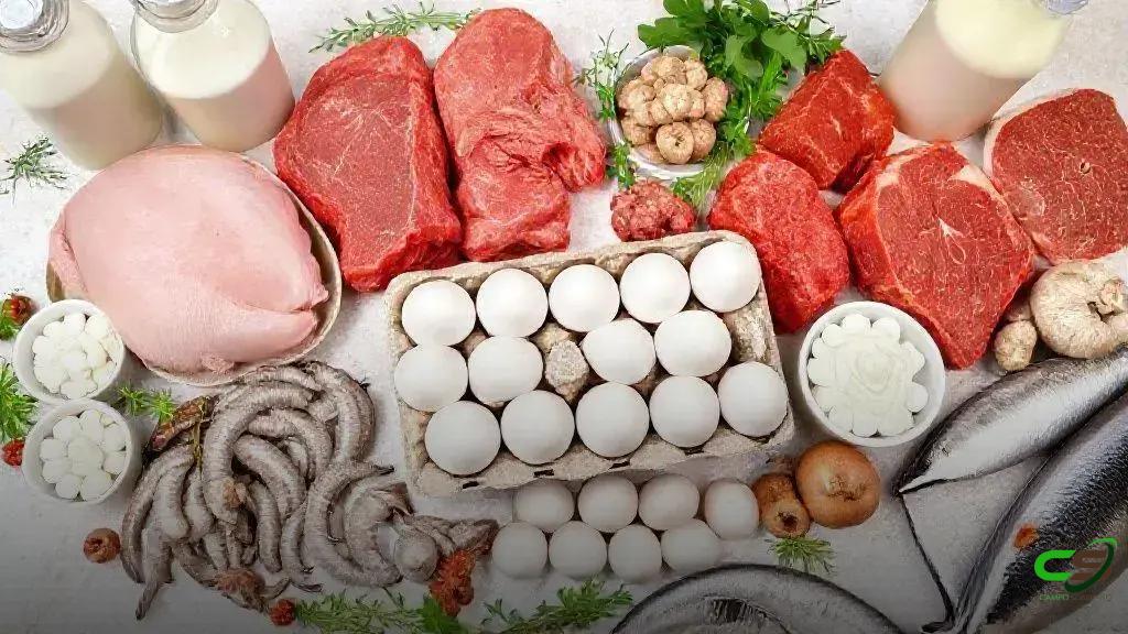 Pecuária brasileira mira até 92,6% de redução de emissões até 2050